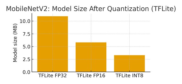 Edge AI Quantization