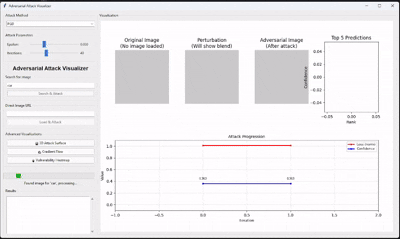 Adversarial Attack Visualizer